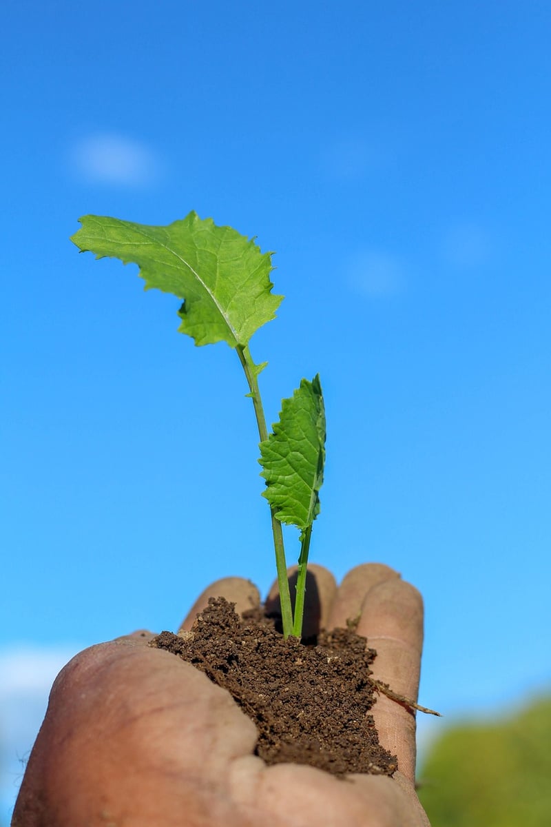 Community Gardens